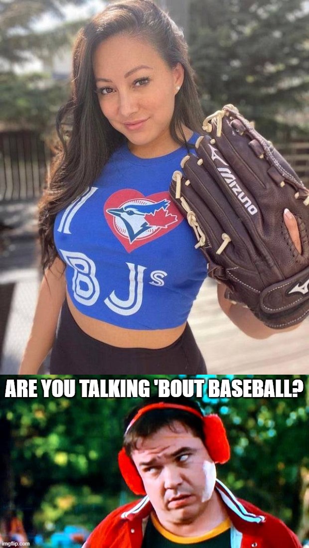 ARE YOU TALKING 'BOUT BASEBALL? | image tagged in have you seen my baseball | made w/ Imgflip meme maker