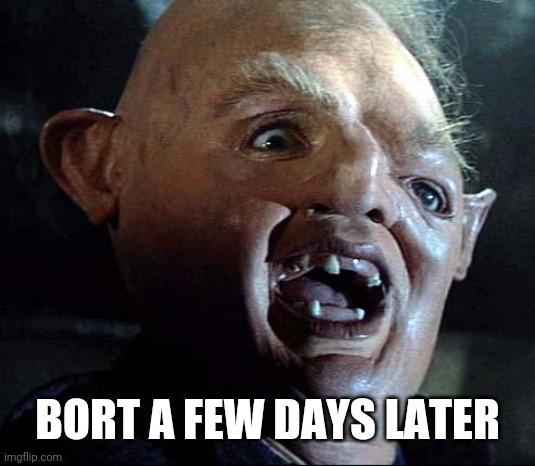 Sloth Goonies | BORT A FEW DAYS LATER | image tagged in sloth goonies | made w/ Imgflip meme maker