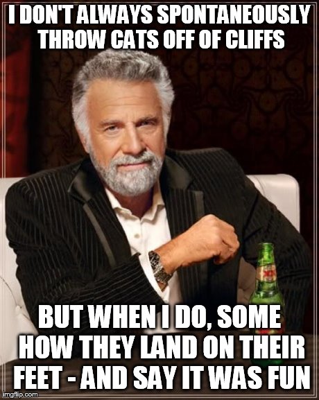 The Most Interesting Man In The World Meme | I DON'T ALWAYS SPONTANEOUSLY THROW CATS OFF OF CLIFFS BUT WHEN I DO, SOME HOW THEY LAND ON THEIR FEET - AND SAY IT WAS FUN | image tagged in memes,the most interesting man in the world | made w/ Imgflip meme maker