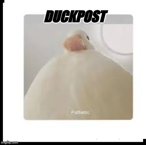 Duckpost | DUCKPOST | image tagged in duck,chonk,pathetic | made w/ Imgflip meme maker