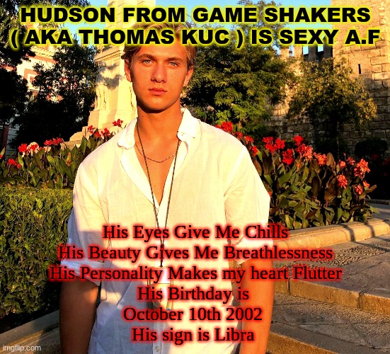 Hudson From GameShakers ( Is Hot )?? | HUDSON FROM GAME SHAKERS
( AKA THOMAS KUC ) IS SEXY A.F; His Eyes Give Me Chills
His Beauty Gives Me Breathlessness
His Personality Makes my heart Flutter
His Birthday is 
October 10th 2002 
His sign is Libra | image tagged in cute,hot | made w/ Imgflip meme maker