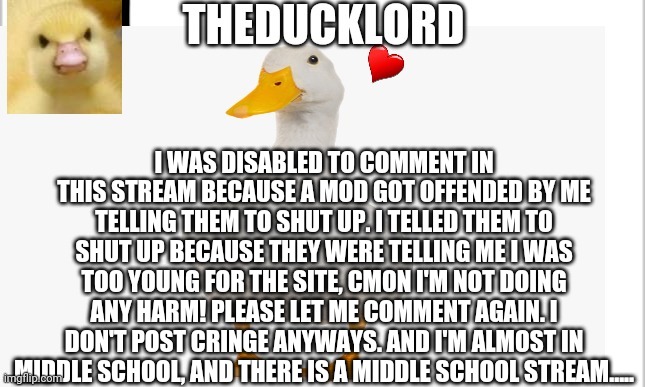 Please let me comment again | I WAS DISABLED TO COMMENT IN THIS STREAM BECAUSE A MOD GOT OFFENDED BY ME TELLING THEM TO SHUT UP. I TELLED THEM TO SHUT UP BECAUSE THEY WERE TELLING ME I WAS TOO YOUNG FOR THE SITE, CMON I'M NOT DOING ANY HARM! PLEASE LET ME COMMENT AGAIN. I DON'T POST CRINGE ANYWAYS. AND I'M ALMOST IN MIDDLE SCHOOL, AND THERE IS A MIDDLE SCHOOL STREAM..... | image tagged in theducklord temp | made w/ Imgflip meme maker
