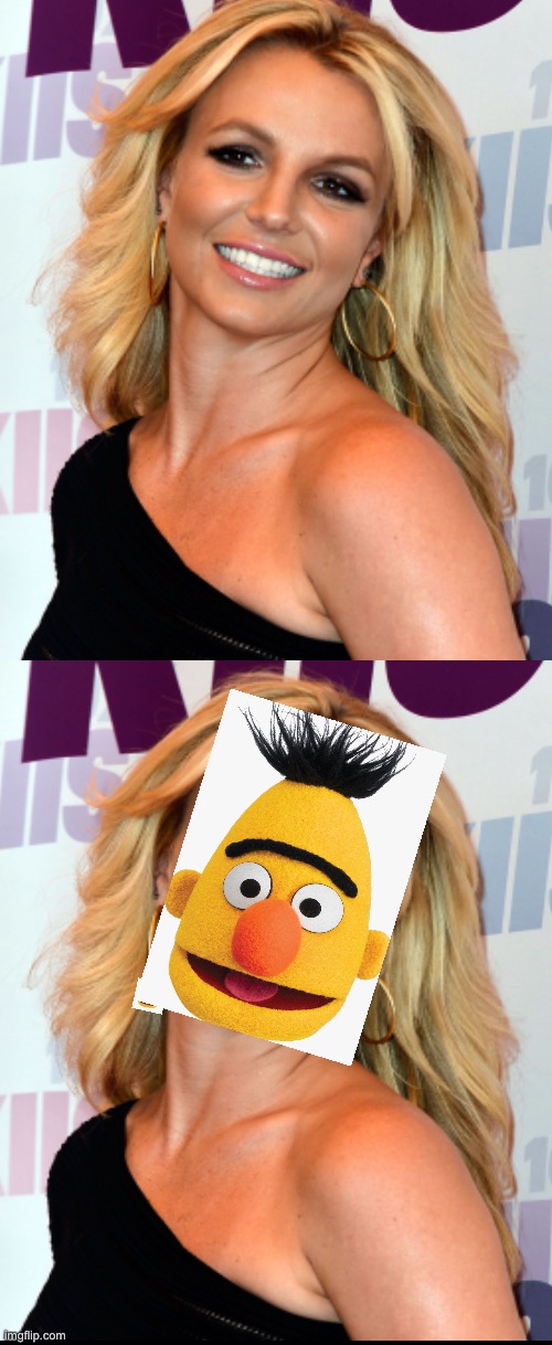 It’s not Britney Spears!! It’s bertney Spears! | image tagged in crazy,bert,xd | made w/ Imgflip meme maker