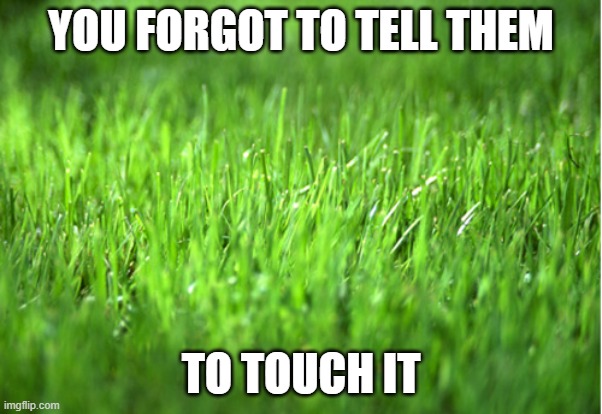 grass is greener | YOU FORGOT TO TELL THEM TO TOUCH IT | image tagged in grass is greener | made w/ Imgflip meme maker