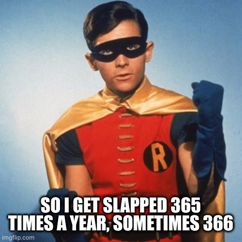 Robin | SO I GET SLAPPED 365 TIMES A YEAR, SOMETIMES 366 | image tagged in robin | made w/ Imgflip meme maker