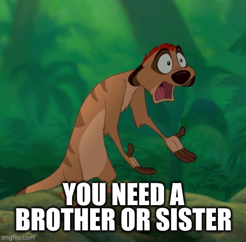 Timon exasperated | YOU NEED A BROTHER OR SISTER | image tagged in timon exasperated | made w/ Imgflip meme maker