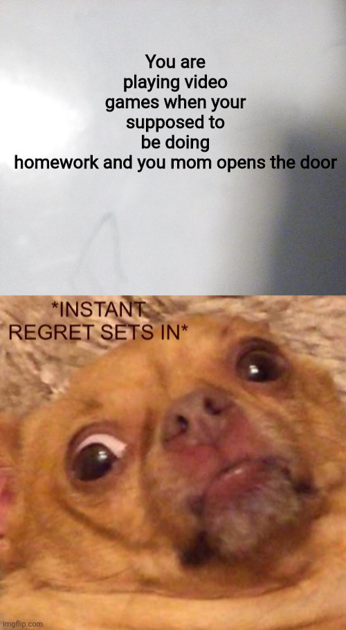 Why not | You are playing video games when your supposed to be doing homework and you mom opens the door | image tagged in instant regret sets in,meme,fun | made w/ Imgflip meme maker