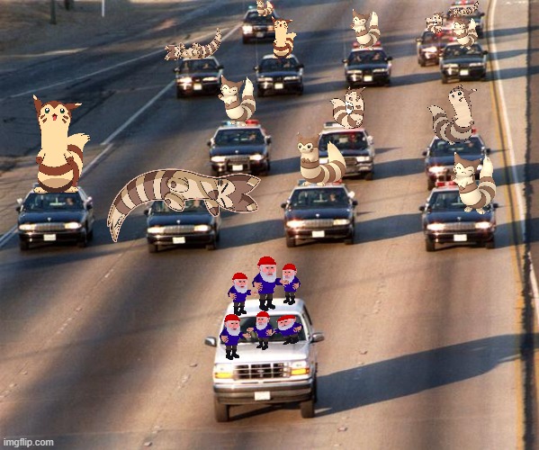 Pointless News: The furret police are chasing gnomes. | image tagged in oj simpson police chase | made w/ Imgflip meme maker