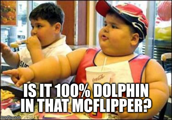 food! | IS IT 100% DOLPHIN IN THAT MCFLIPPER? | image tagged in food | made w/ Imgflip meme maker