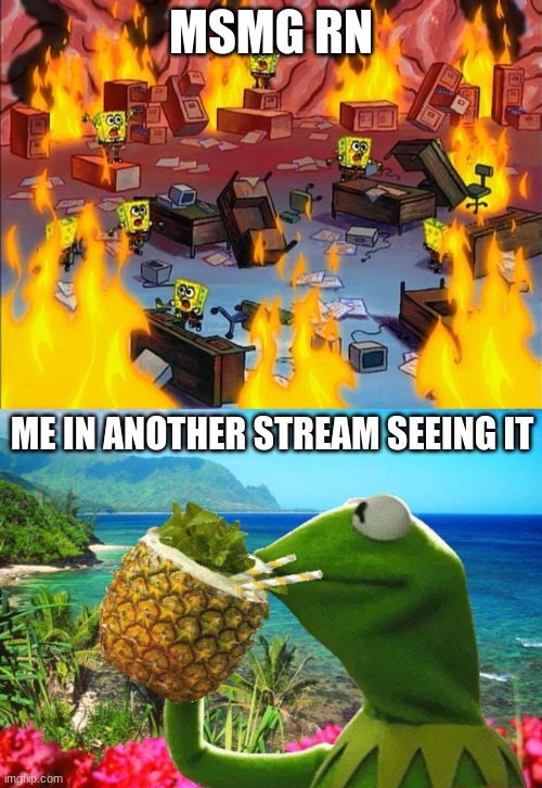 oh my god- | MSMG RN; ME IN ANOTHER STREAM SEEING IT | image tagged in spongebob fire,vacation kermit | made w/ Imgflip meme maker