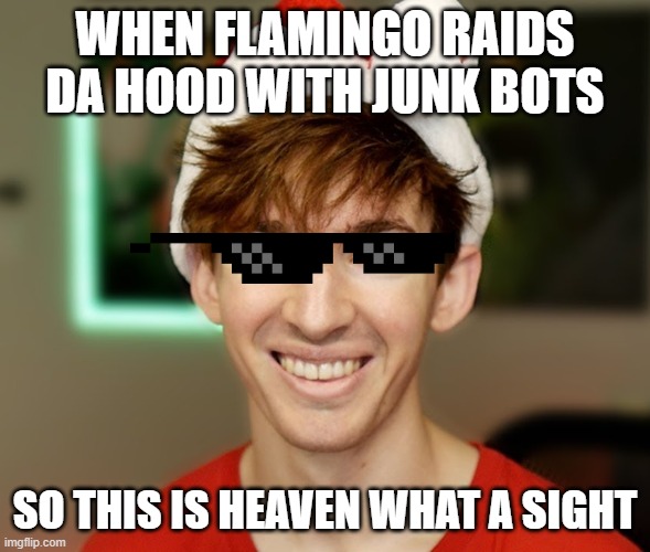 flamingo | WHEN FLAMINGO RAIDS DA HOOD WITH JUNK BOTS SO THIS IS HEAVEN WHAT A SIGHT | image tagged in flamingo | made w/ Imgflip meme maker