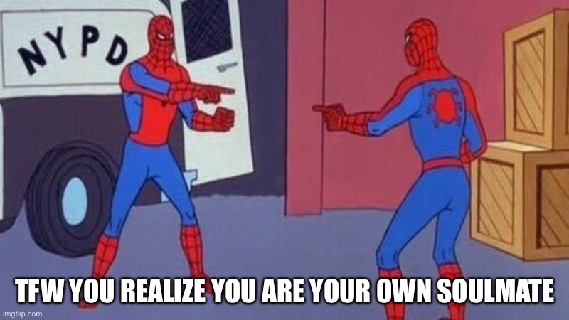 Soulmates For Life |  TFW YOU REALIZE YOU ARE YOUR OWN SOULMATE | image tagged in spiderman pointing at spiderman,soulmates,when you realize | made w/ Imgflip meme maker