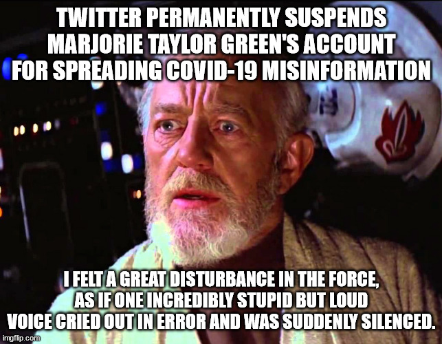 obiwan | TWITTER PERMANENTLY SUSPENDS MARJORIE TAYLOR GREEN'S ACCOUNT FOR SPREADING COVID-19 MISINFORMATION; I FELT A GREAT DISTURBANCE IN THE FORCE, AS IF ONE INCREDIBLY STUPID BUT LOUD VOICE CRIED OUT IN ERROR AND WAS SUDDENLY SILENCED. | image tagged in obiwan,marjorie talyor green,twitter,banned | made w/ Imgflip meme maker