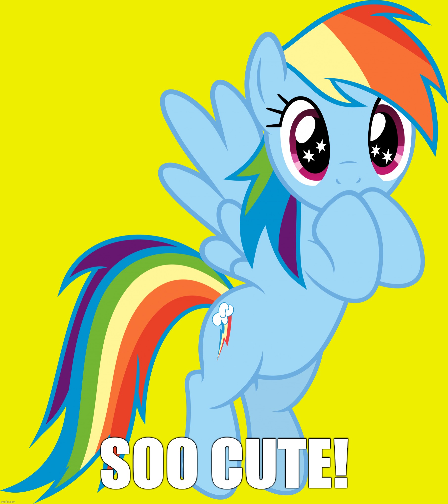 Rainbow Dash Transparent | SOO CUTE! | image tagged in rainbow dash transparent | made w/ Imgflip meme maker