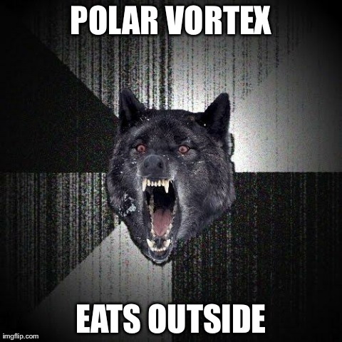 Insanity Wolf | POLAR VORTEX EATS OUTSIDE | image tagged in memes,insanity wolf | made w/ Imgflip meme maker
