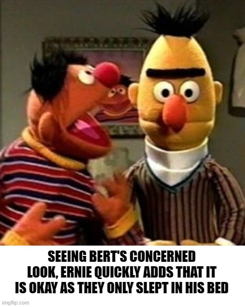 Ernie and Bert | SEEING BERT'S CONCERNED LOOK, ERNIE QUICKLY ADDS THAT IT IS OKAY AS THEY ONLY SLEPT IN HIS BED | image tagged in ernie and bert | made w/ Imgflip meme maker