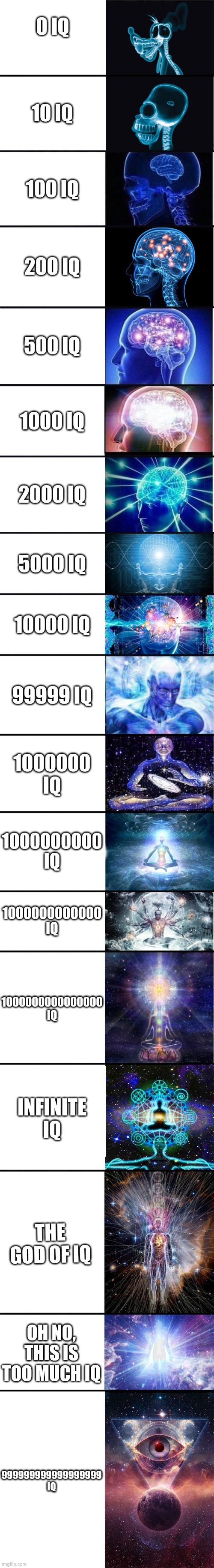 Types of IQ | 0 IQ; 10 IQ; 100 IQ; 200 IQ; 500 IQ; 1000 IQ; 2000 IQ; 5000 IQ; 10000 IQ; 99999 IQ; 1000000 IQ; 1000000000 IQ; 1000000000000 IQ; 1000000000000000 IQ; INFINITE IQ; THE GOD OF IQ; OH NO, THIS IS TOO MUCH IQ; 999999999999999999 IQ | image tagged in expanding brain 9001,memes,funny | made w/ Imgflip meme maker