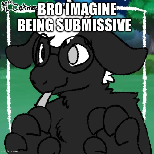 DRIZZY FURSONA DRIZZY FURSONA DRIZZY FURSONA- | BRO IMAGINE BEING SUBMISSIVE | image tagged in drizzy fursona drizzy fursona drizzy fursona-,why did i use this template | made w/ Imgflip meme maker
