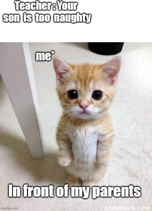 My acting | Teacher : Your  son  is  too  naughty; me*; In front of my parents | image tagged in memes,cute cat | made w/ Imgflip meme maker