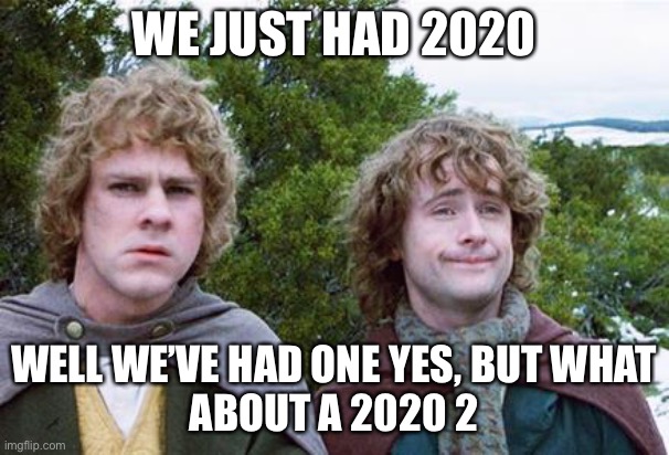 Second Breakfast | WE JUST HAD 2020; WELL WE’VE HAD ONE YES, BUT WHAT
ABOUT A 2020 2 | image tagged in second breakfast | made w/ Imgflip meme maker