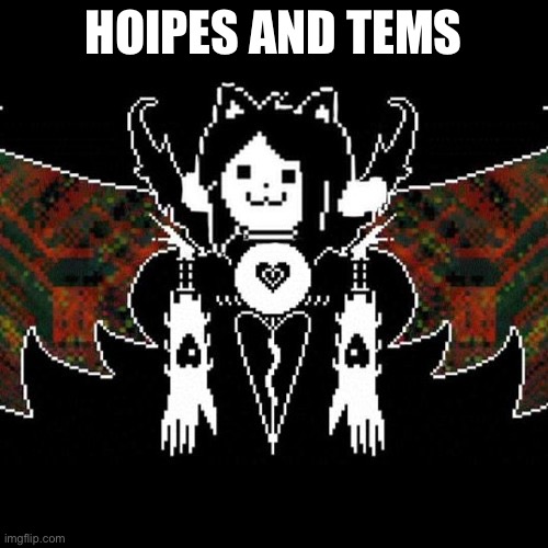 Temmy dreamur | HOIPES AND TEMS | image tagged in temmy dreamur | made w/ Imgflip meme maker