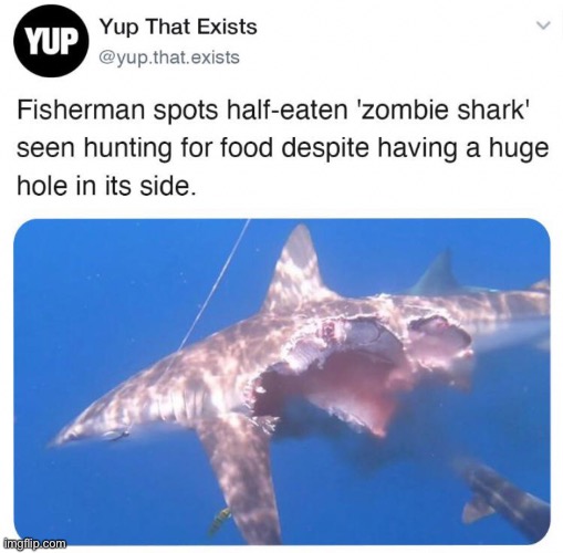 I hope this is fake | made w/ Imgflip meme maker