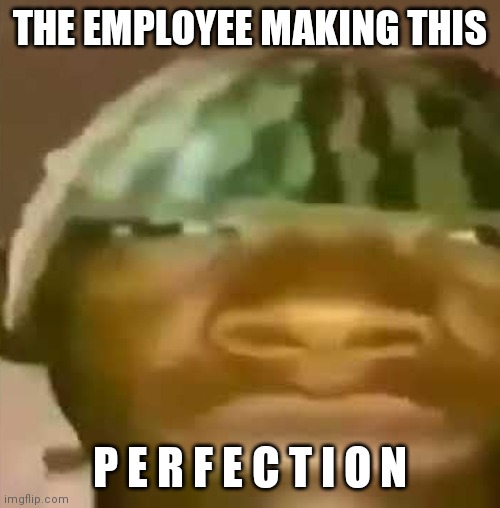 shitpost | THE EMPLOYEE MAKING THIS P E R F E C T I O N | image tagged in shitpost | made w/ Imgflip meme maker
