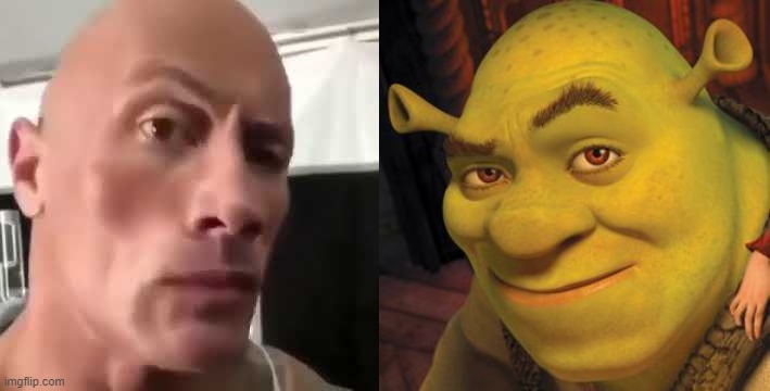image tagged in the rock eyebrows,shrek sexy face | made w/ Imgflip meme maker