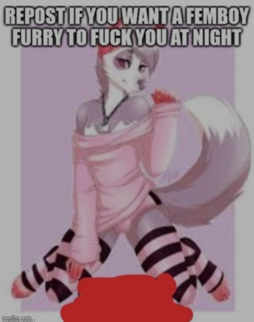 I did it | image tagged in furry,repost | made w/ Imgflip meme maker