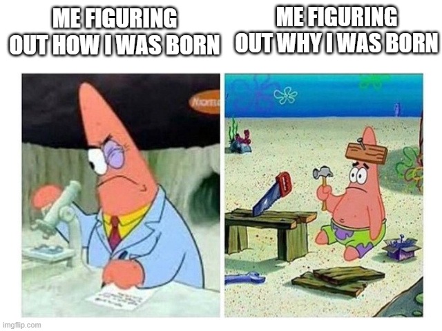 Why am I here? *Confusion intesifies* | ME FIGURING OUT WHY I WAS BORN; ME FIGURING OUT HOW I WAS BORN | image tagged in patrick scientist vs nail,pg place,oof,luna_the_dragon,why are you reading this | made w/ Imgflip meme maker