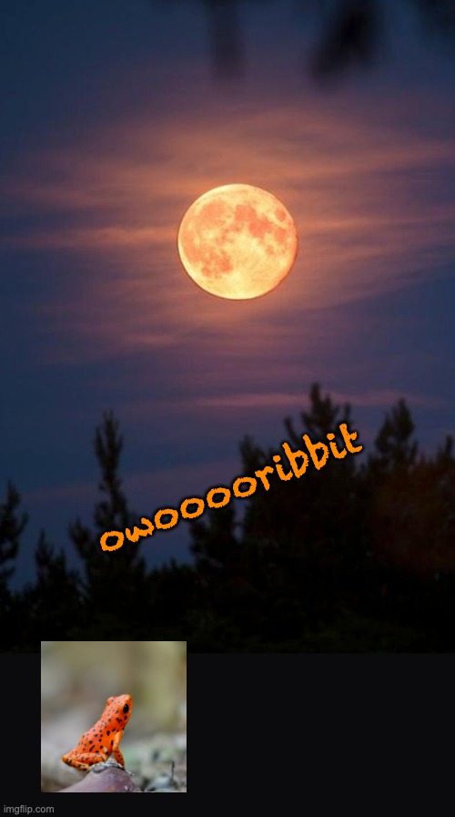 Werefrog |  owooooribbit | image tagged in moon,frog,cute,full moon,werewolf | made w/ Imgflip meme maker