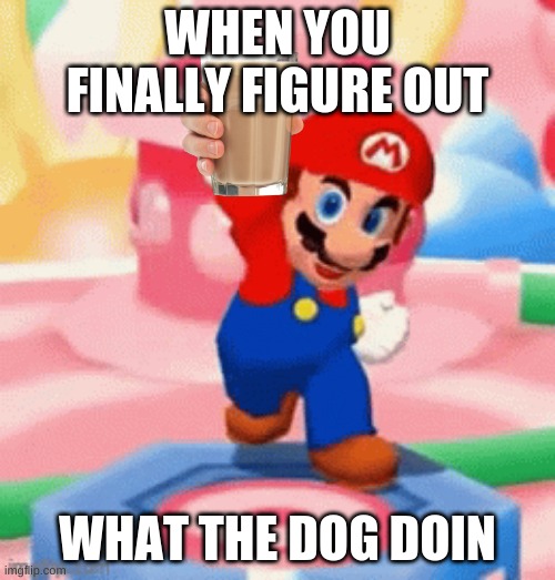 : / | WHEN YOU FINALLY FIGURE OUT; WHAT THE DOG DOIN | image tagged in mario happy | made w/ Imgflip meme maker