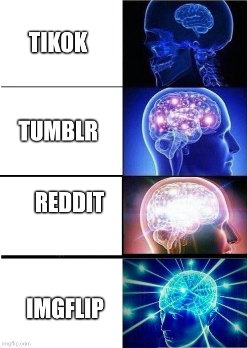 Expanding Brain Meme | TIKOK; TUMBLR; REDDIT; IMGFLIP | image tagged in memes,expanding brain | made w/ Imgflip meme maker