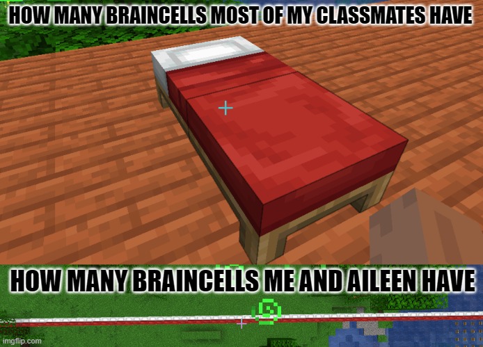 Class Knowledge | HOW MANY BRAINCELLS MOST OF MY CLASSMATES HAVE; HOW MANY BRAINCELLS ME AND AILEEN HAVE | image tagged in how many braincells most of my classmates have,how many braincells me and aileen have | made w/ Imgflip meme maker