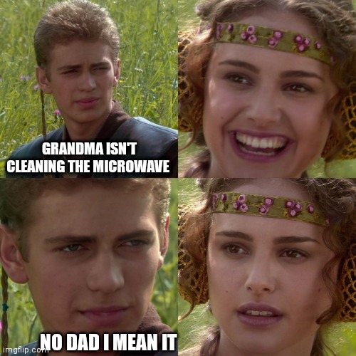 Life right there | GRANDMA ISN'T CLEANING THE MICROWAVE; NO DAD I MEAN IT | image tagged in anakin padme 4 panel | made w/ Imgflip meme maker