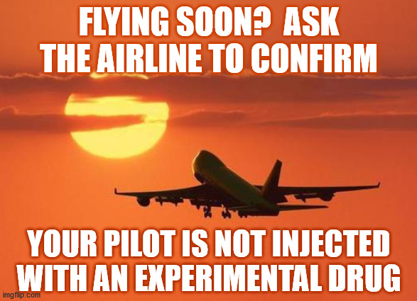 airplanelove | FLYING SOON?  ASK THE AIRLINE TO CONFIRM; YOUR PILOT IS NOT INJECTED WITH AN EXPERIMENTAL DRUG | image tagged in airplanelove | made w/ Imgflip meme maker