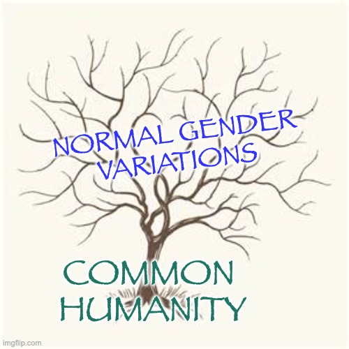 TREE BRANCH | NORMAL GENDER VARIATIONS COMMON 
HUMANITY | image tagged in tree branch | made w/ Imgflip meme maker