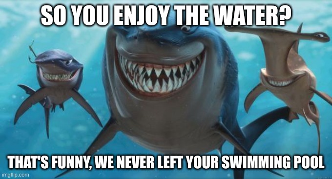 Finding Nemo Sharks | SO YOU ENJOY THE WATER? THAT'S FUNNY, WE NEVER LEFT YOUR SWIMMING POOL | image tagged in finding nemo sharks | made w/ Imgflip meme maker