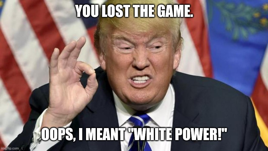 You lost the game or white power | YOU LOST THE GAME. OOPS, I MEANT "WHITE POWER!" | image tagged in trump the best | made w/ Imgflip meme maker