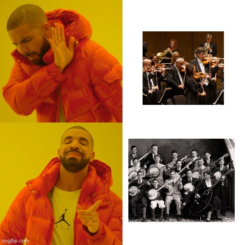 The Orchestra | image tagged in memes,drake hotline bling | made w/ Imgflip meme maker