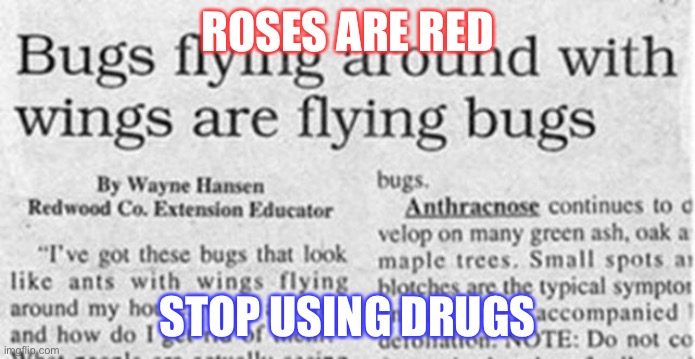 Flying aunt | ROSES ARE RED; STOP USING DRUGS | image tagged in funny,newspaper | made w/ Imgflip meme maker