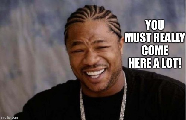 Yo Dawg Heard You Meme | YOU MUST REALLY COME HERE A LOT! | image tagged in memes,yo dawg heard you | made w/ Imgflip meme maker