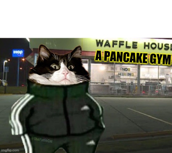 Cat waffle house | A PANCAKE GYM | image tagged in cat waffle house | made w/ Imgflip meme maker