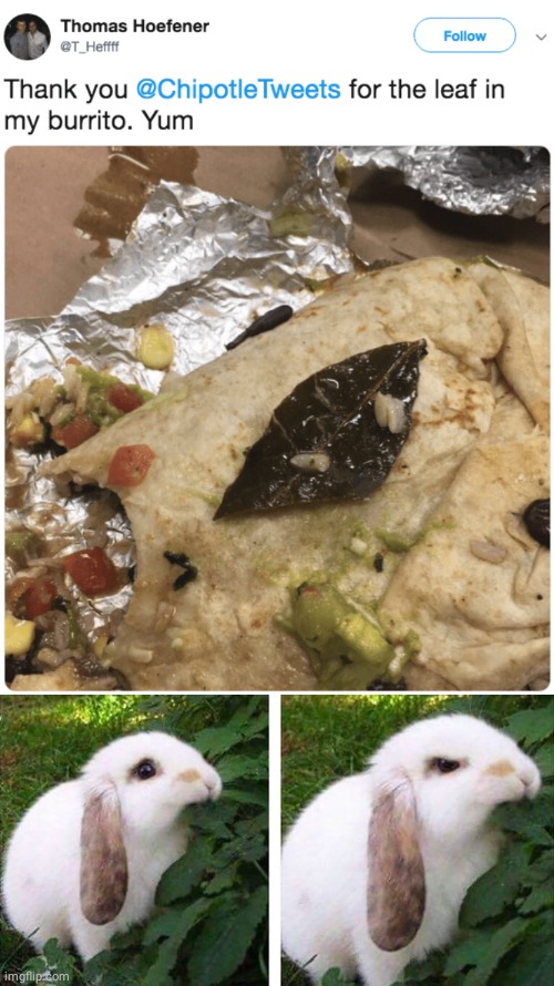 Leaf in burrito | image tagged in angry bunny eating leaf,memes,leafs,burrito,meme,food | made w/ Imgflip meme maker