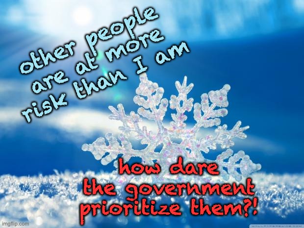 snowflake | other people are at more risk than I am how dare the government prioritize them?! | image tagged in snowflake | made w/ Imgflip meme maker