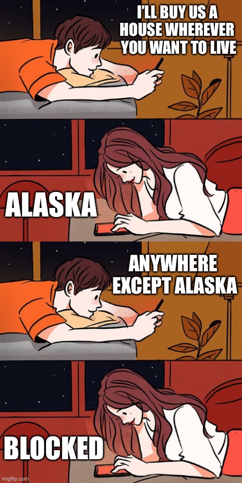 I’LL BUY US A 
HOUSE WHEREVER 
YOU WANT TO LIVE; ALASKA; ANYWHERE 
EXCEPT ALASKA; BLOCKED | image tagged in boy and girl texting | made w/ Imgflip meme maker