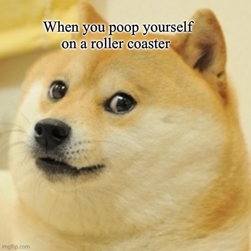 Doge | When you poop yourself on a roller coaster | image tagged in memes,doge | made w/ Imgflip meme maker