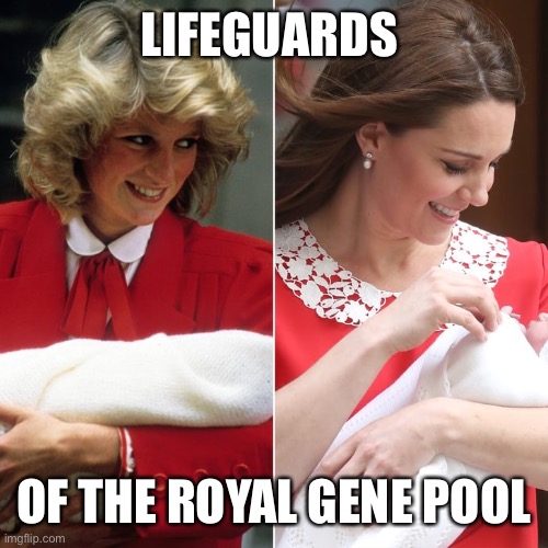 Lifeguards of the Gene Pool | LIFEGUARDS; OF THE ROYAL GENE POOL | image tagged in princesses | made w/ Imgflip meme maker
