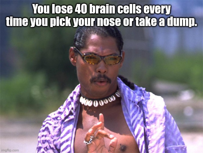 Pootie Tang say: | You lose 40 brain cells every time you pick your nose or take a dump. | image tagged in pootie tang say | made w/ Imgflip meme maker