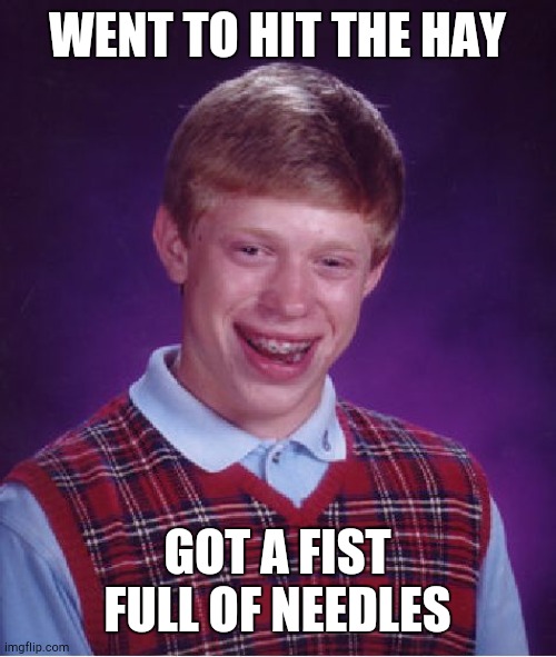 Hay-stack | WENT TO HIT THE HAY; GOT A FIST FULL OF NEEDLES | image tagged in memes,bad luck brian | made w/ Imgflip meme maker